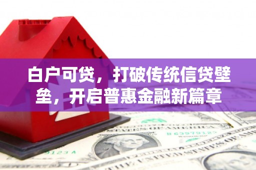 东区白户可贷，打破传统信贷壁垒，开启普惠金融新篇章