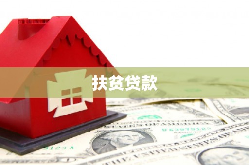 东区扶贫贷款