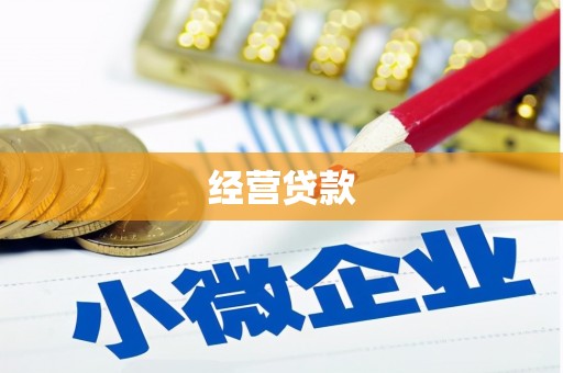 东区经营贷款