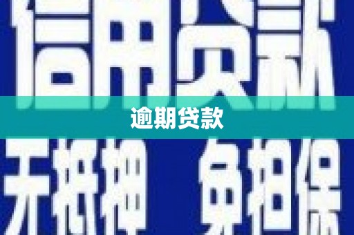东区逾期贷款